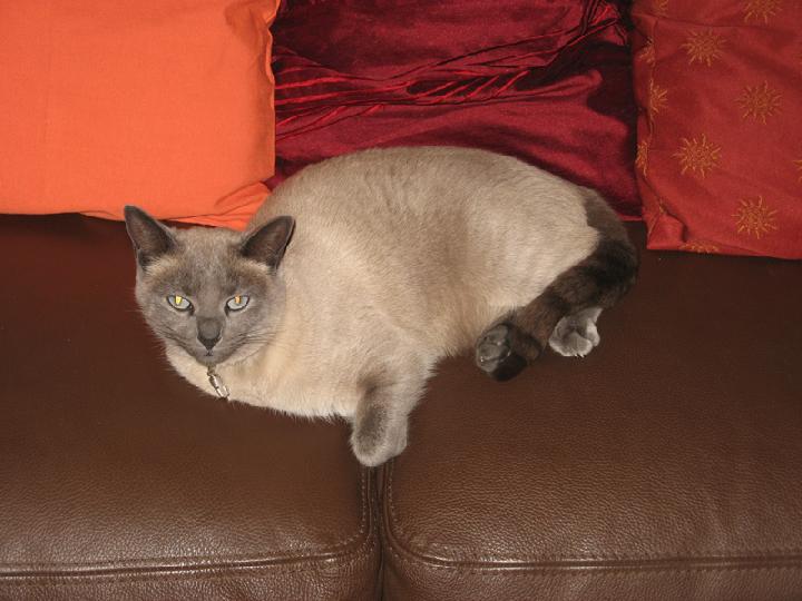 2010-01 0002.JPG